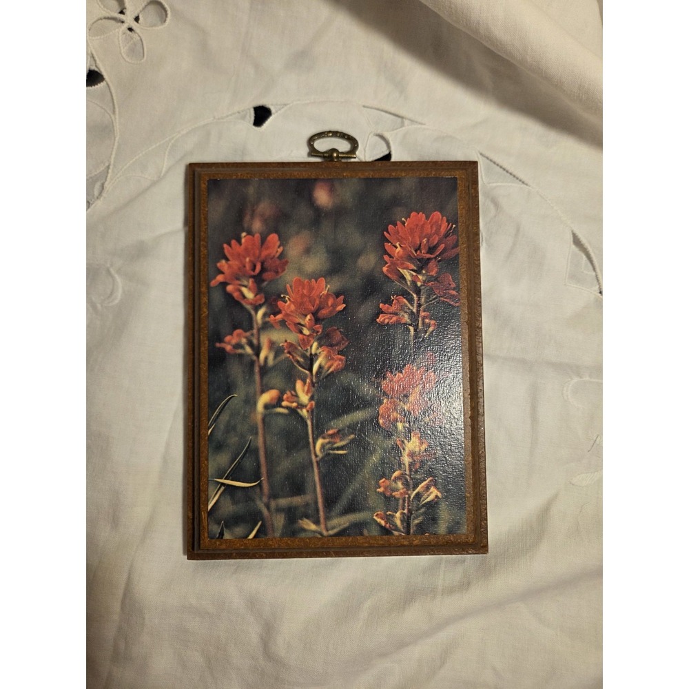 Vintage Wooden Mounted Red Indian Paintbrush Wildflowers Wall Art